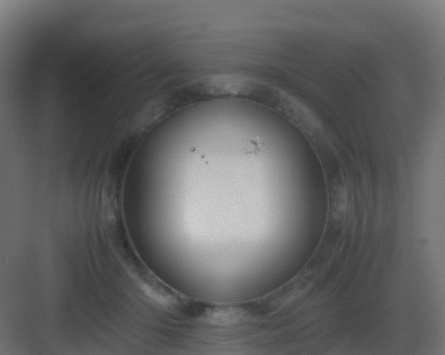 X0000082990414200702081839