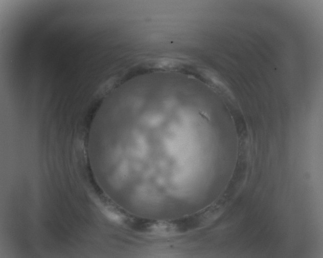 X0000082990415200702081839