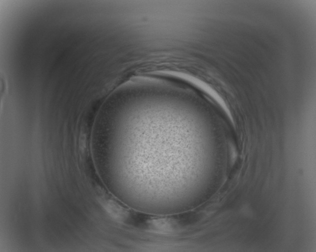 X0000082990417200702081839