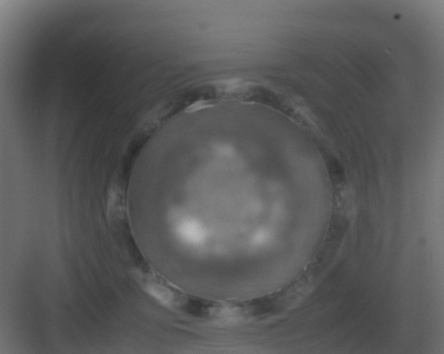 X0000082990419200702081839