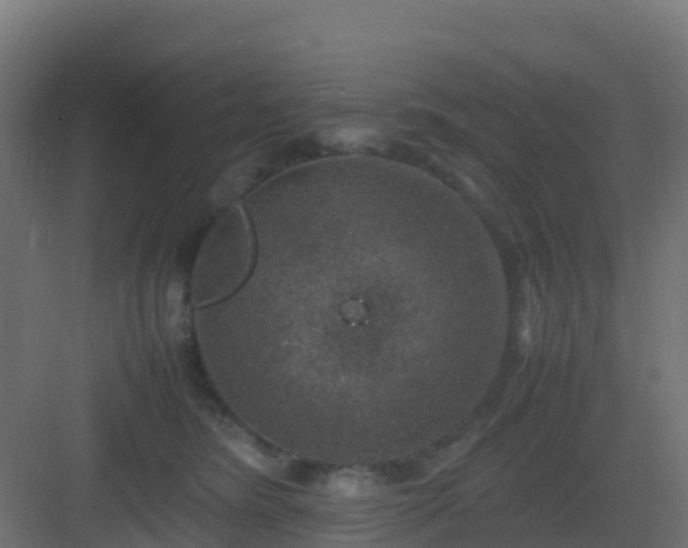 X0000082990420200702081839