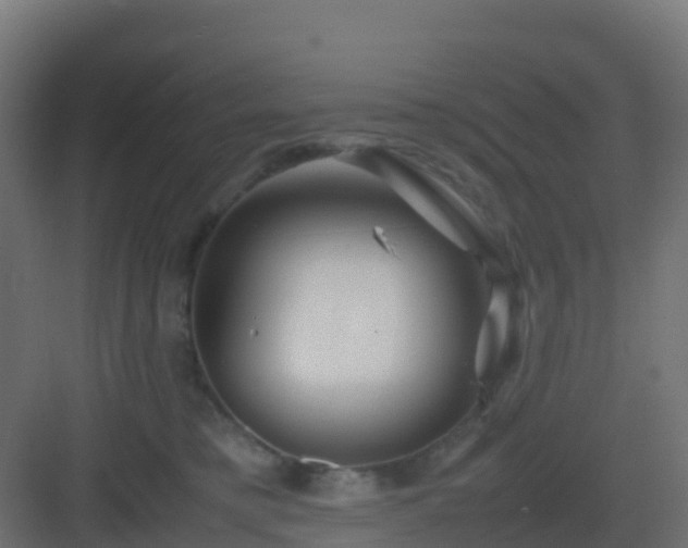 X0000082990421200702081839