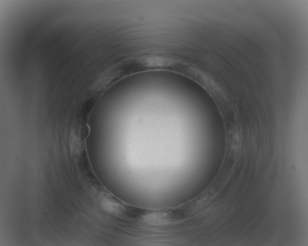 X0000082990422200702081839