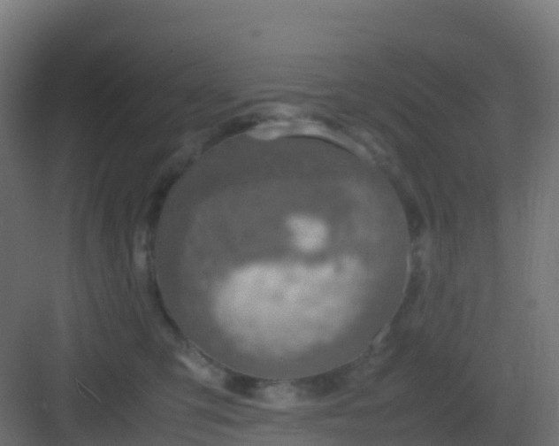 X0000082990423200702081839