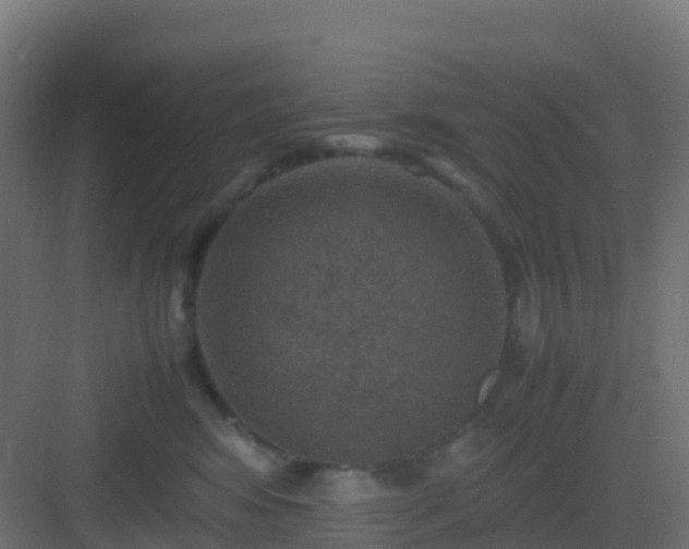 X0000082990424200702081839