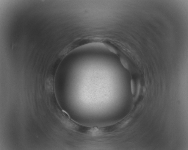 X0000082990425200702081839