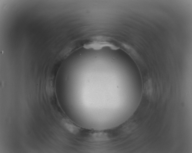 X0000082990426200702081839