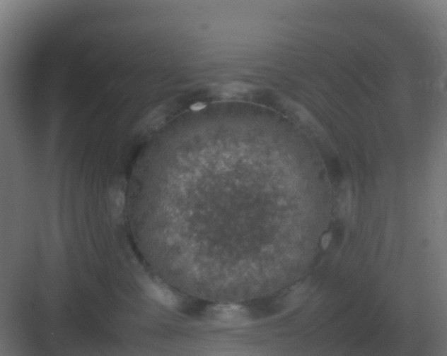 X0000082990427200702081839