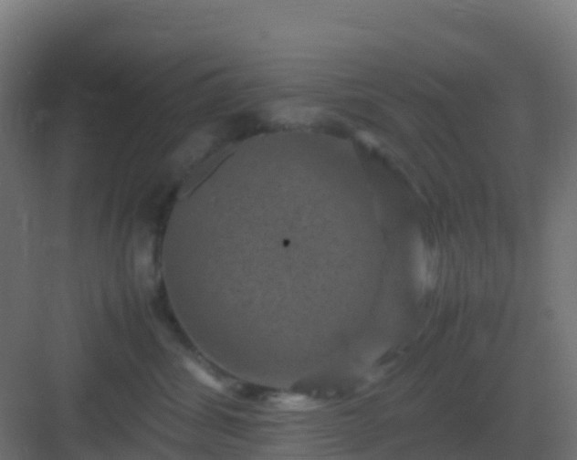 X0000082990428200702081839