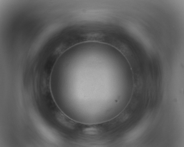 X0000082990430200702081839