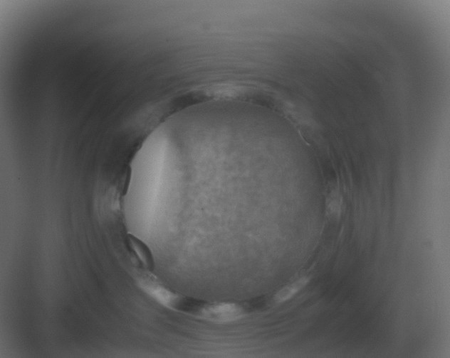 X0000082990431200702081839