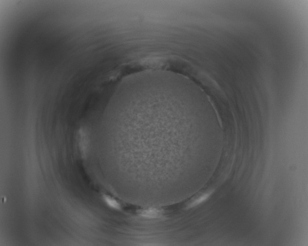 X0000082990432200702081839