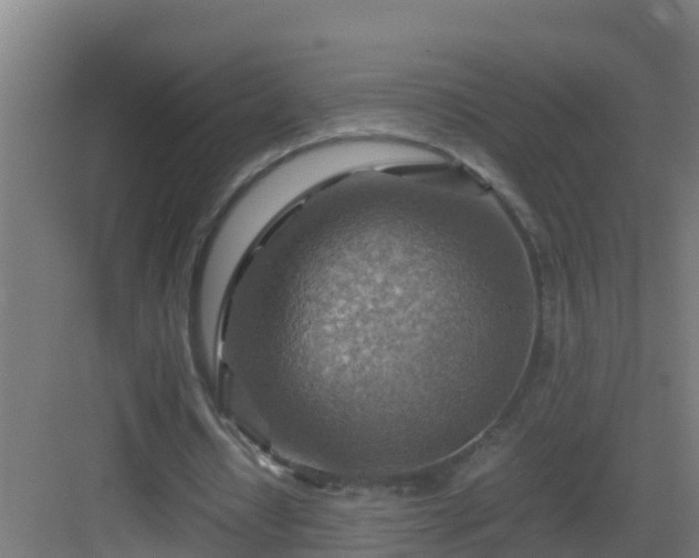 X0000082990434200702081838