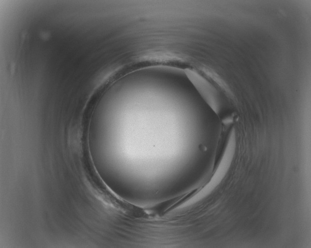 X0000082990440200702081838