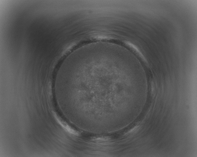 X0000082990447200702081839