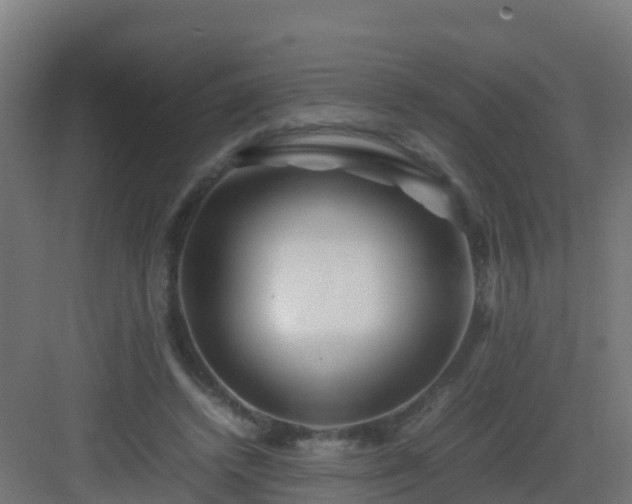 X0000082990448200702081839