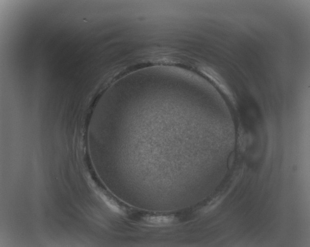 X0000082990449200702081839