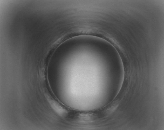 X0000082990450200702081839