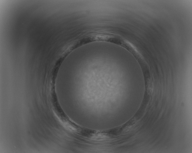 X0000082990451200702081839