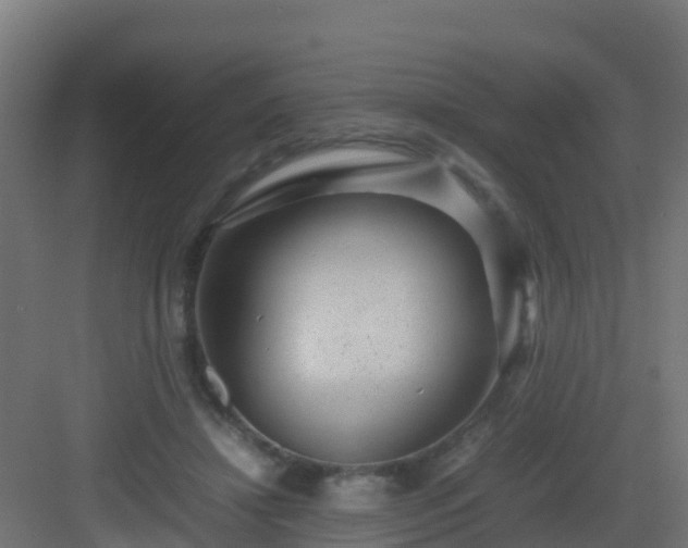 X0000082990452200702081839