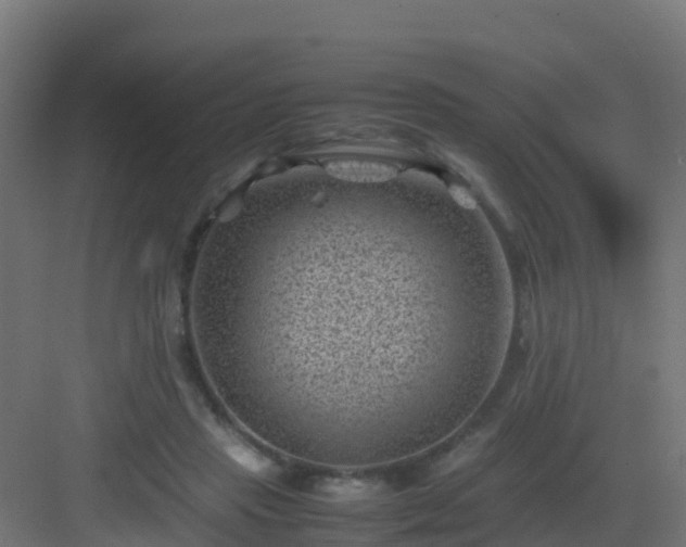 X0000082990453200702081839