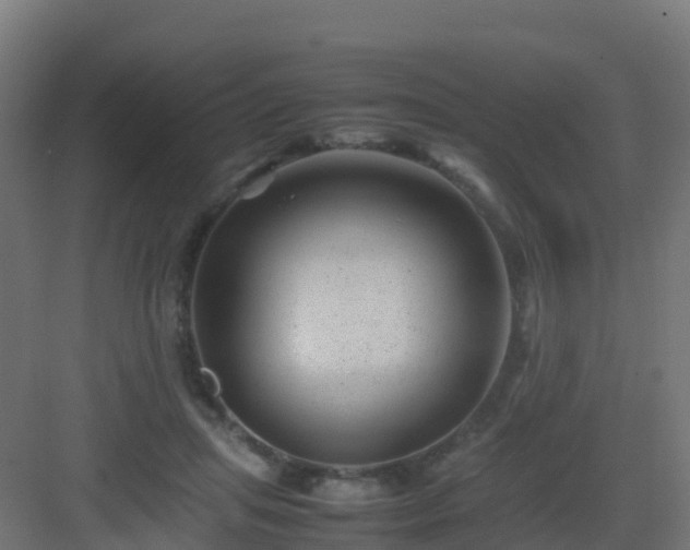 X0000082990455200702081839