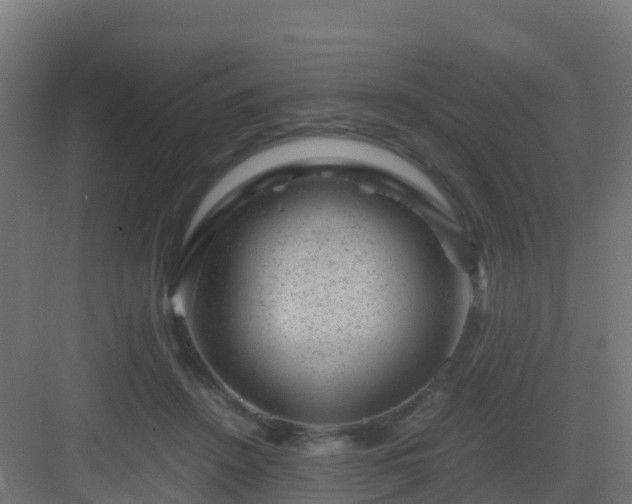 X0000082990456200702081839