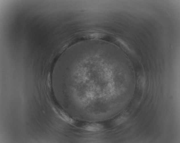 X0000082990459200702081839