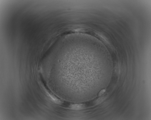 X0000082990461200702081839