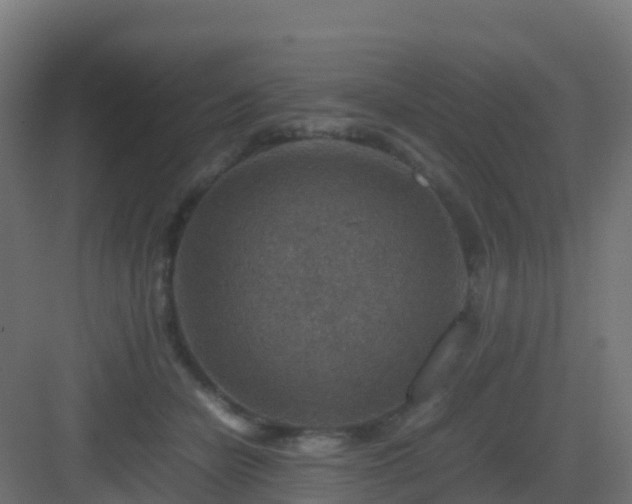 X0000082990462200702081839