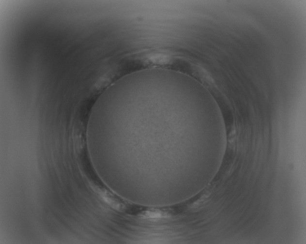 X0000082990464200702081839