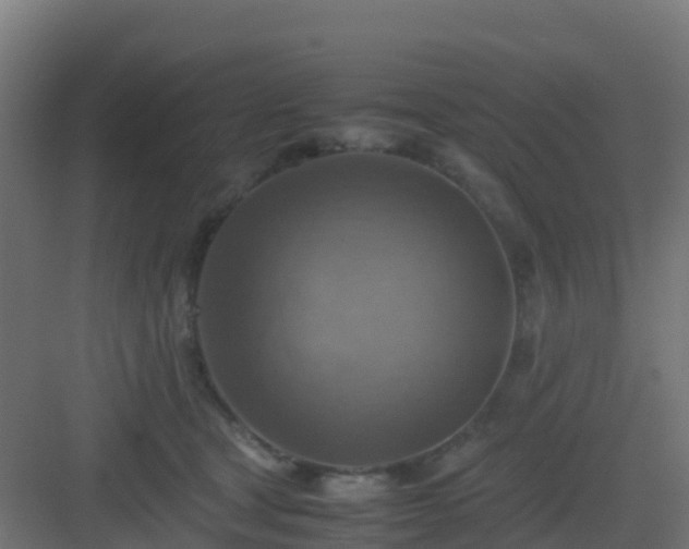 X0000082990465200702081839