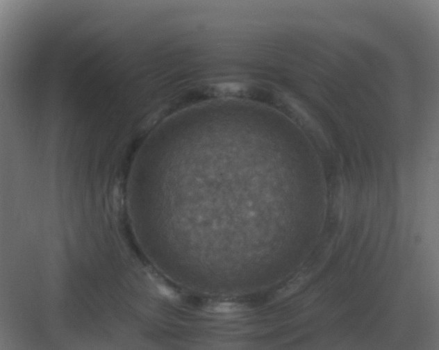 X0000082990467200702081839