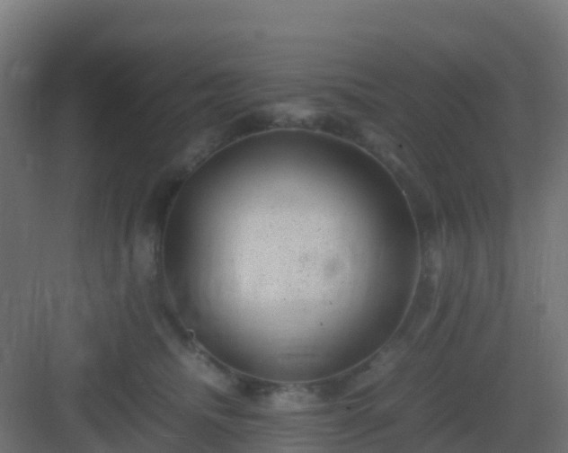 X0000082990468200702081839