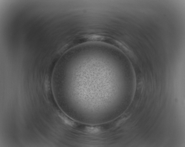 X0000082990469200702081839