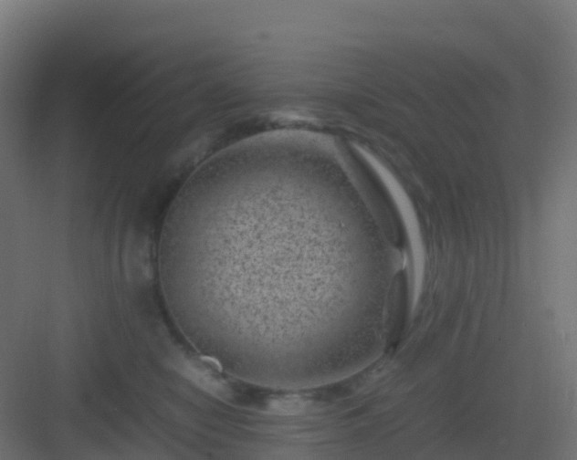 X0000082990470200702081839