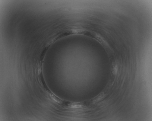 X0000082990471200702081839