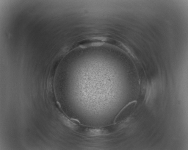 X0000082990473200702081839