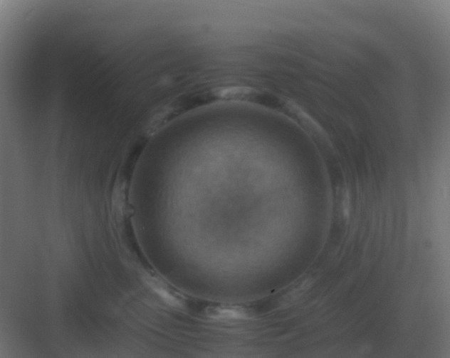 X0000082990475200702081839