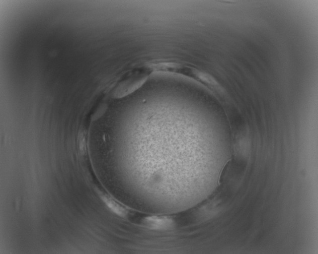 X0000082990477200702081839