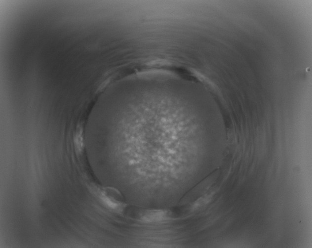 X0000082990479200702081839