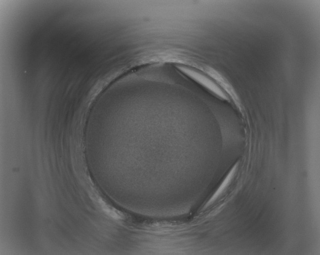 X0000082990481200702081838