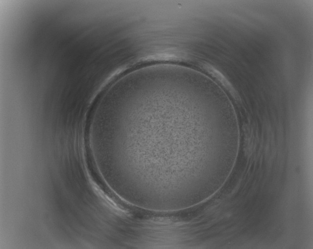 X0000082990482200702081838