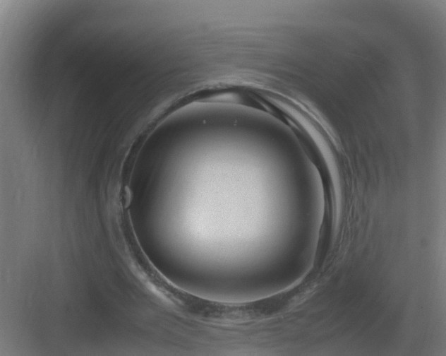 X0000082990485200702081838