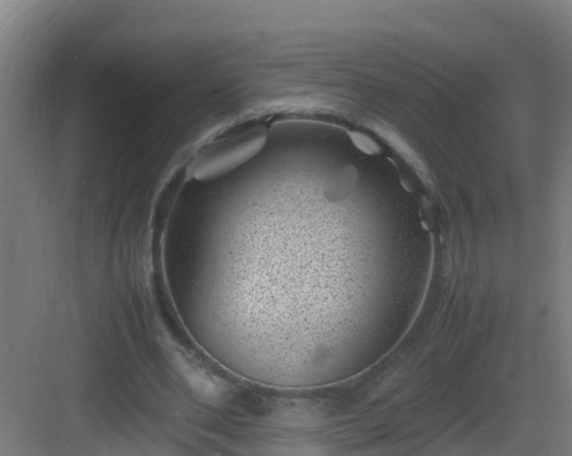 X0000082990486200702081838