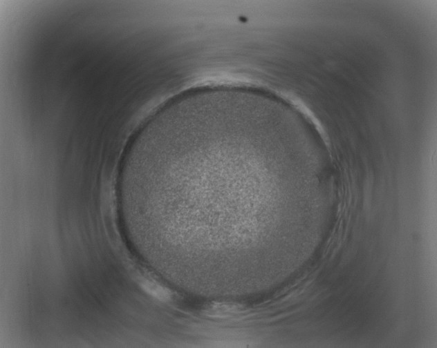 X0000082990487200702081838