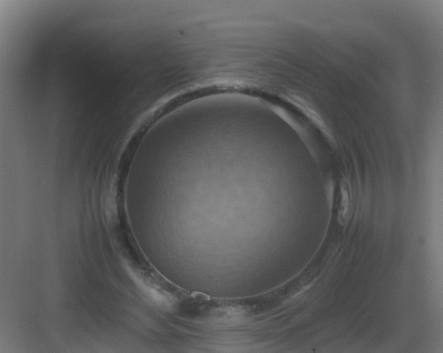 X0000082990492200702081838