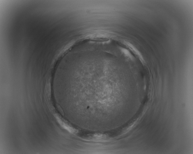 X0000082990493200702081838