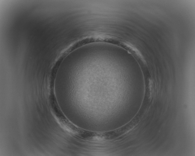 X0000082990496200702081838