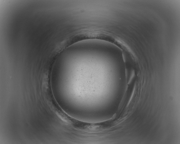 X0000082990497200702081838